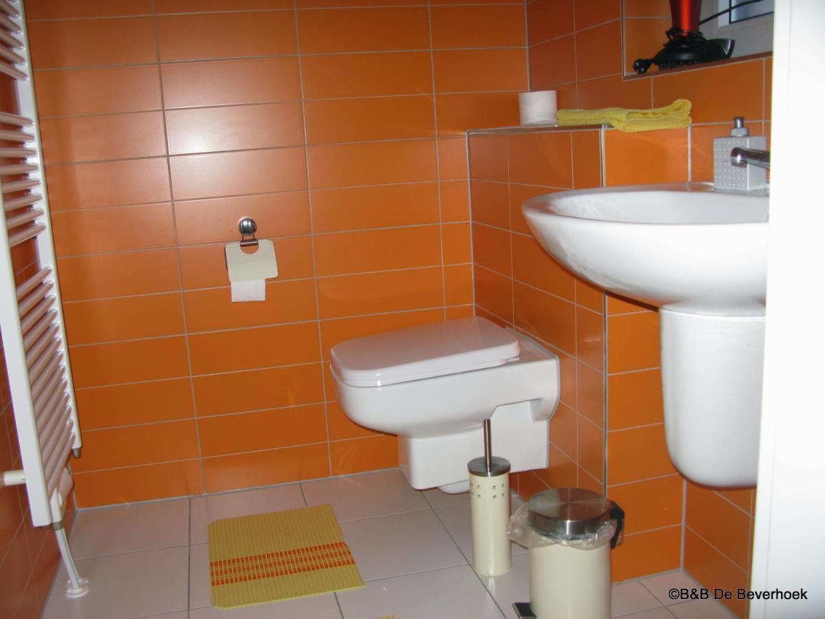 B&B De Beverhoek Roggel Екстер'єр фото