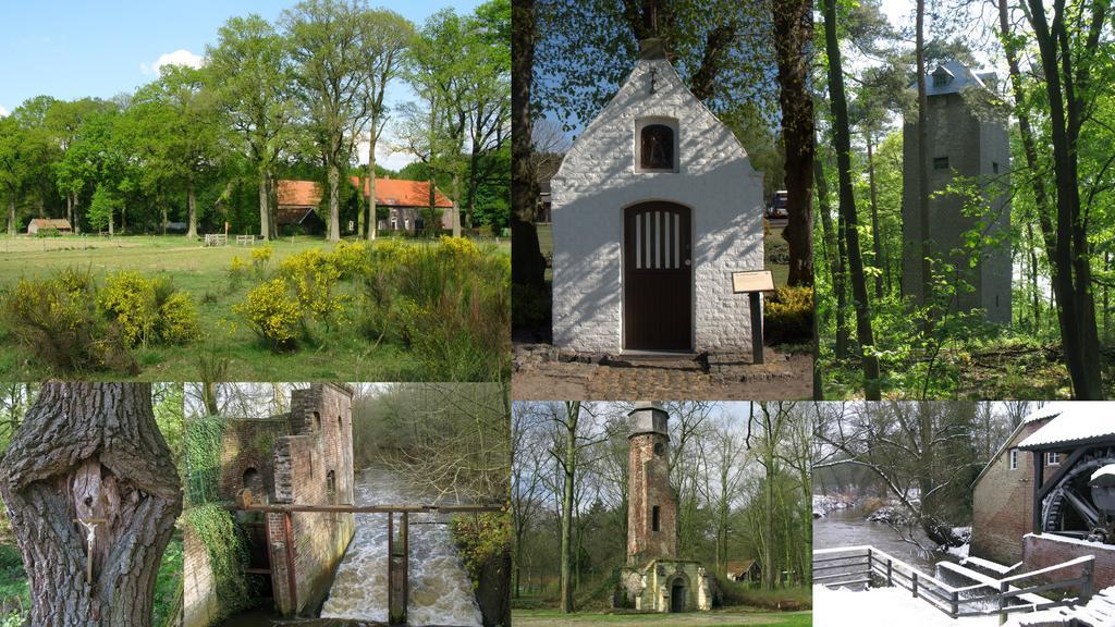 B&B De Beverhoek Roggel Екстер'єр фото